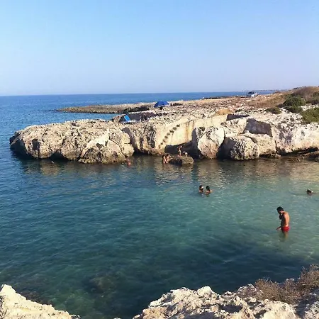 Seashell 빌라 모노폴리