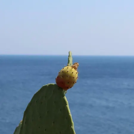 Seashell 모노폴리